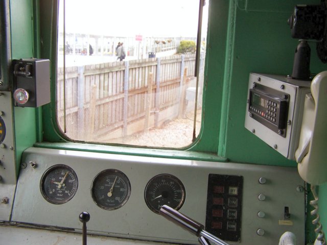_8585.jpg